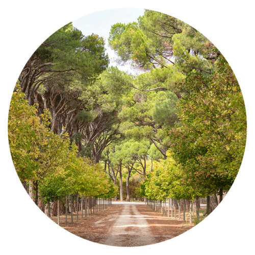 El Escorial 01
